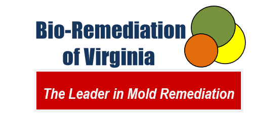 Avatar for Bio-Remediation Of Virginia